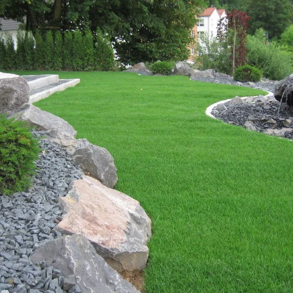 Garten mit gepflegten, grünen Rasen