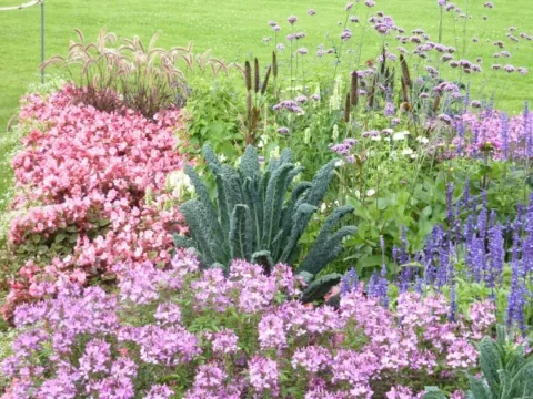 Gepflegter Garten mit blühenden Blumen